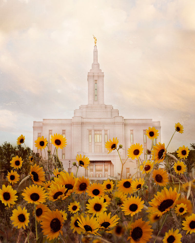 Pocatello Temple - Wild Sunflowers by Mandy Jane Williams