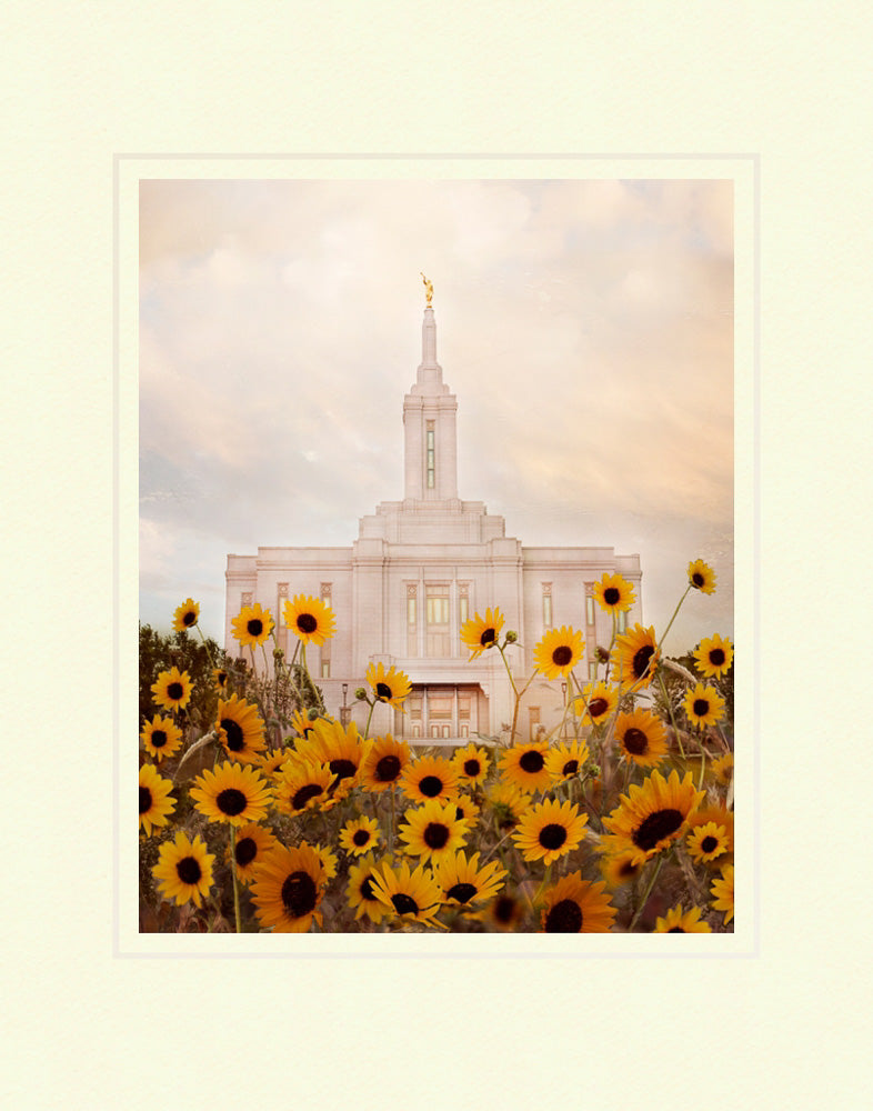 Pocatello Temple - Wild Sunflowers by Mandy Jane Williams