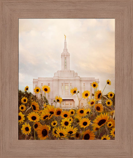 Pocatello Temple - Wild Sunflowers by Mandy Jane Williams