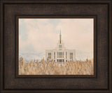 Saratoga Springs Utah Temple- Sanctify