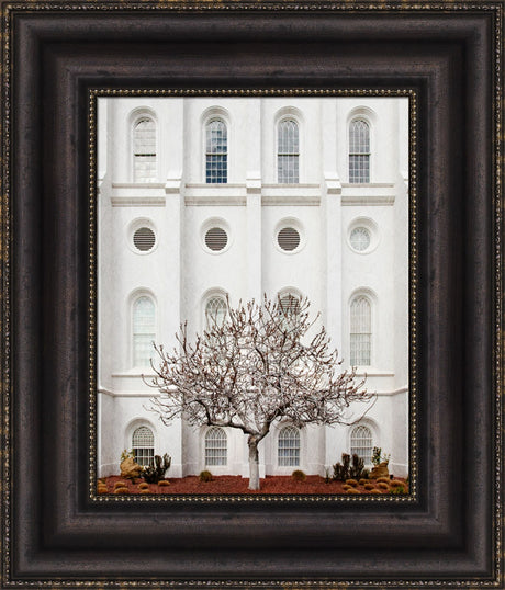 St George Temple - Arbor Alma by Robert A Boyd