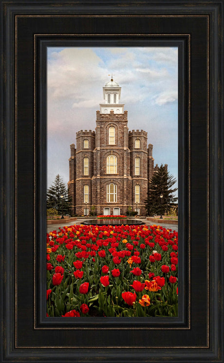 Logan Temple - Tulips by Robert A Boyd