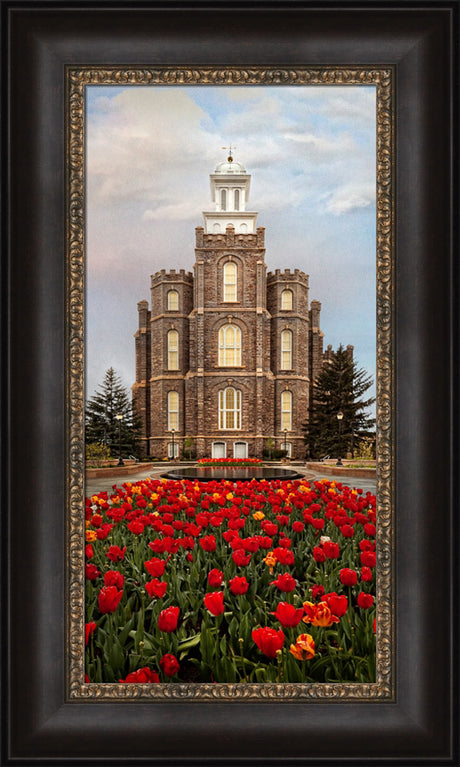 Logan Temple - Tulips by Robert A Boyd