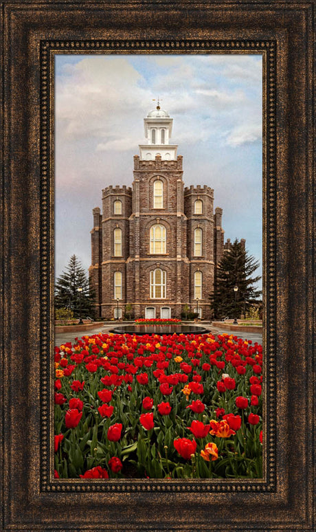 Logan Temple - Tulips by Robert A Boyd