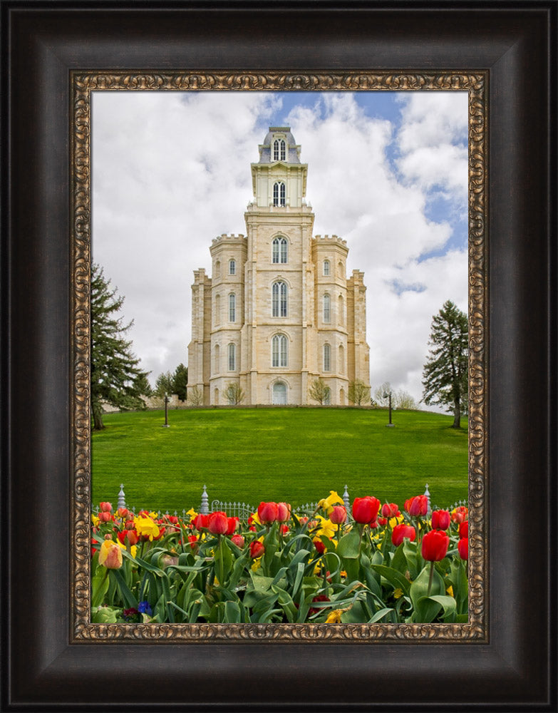 Manti Temple - Tulips and Grass by Robert A Boyd