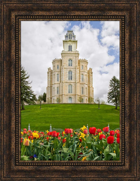 Manti Temple - Tulips and Grass by Robert A Boyd