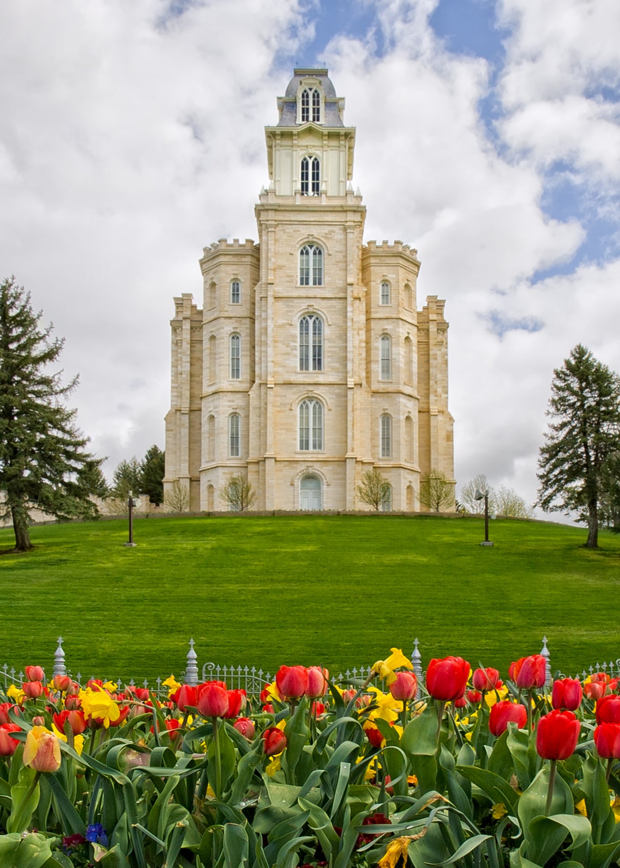 Manti Temple - Tulips and Grass by Robert A Boyd