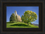 Manti Temple - Summer Tree by Robert A Boyd