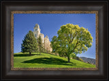 Manti Temple - Summer Tree by Robert A Boyd