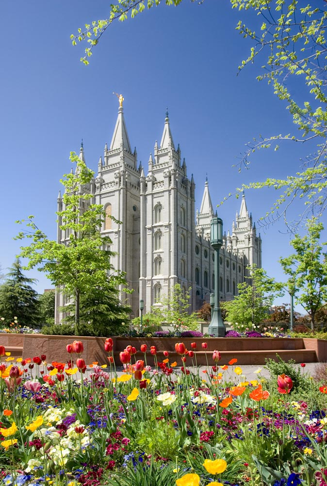 Salt Lake Temple - Spring Flowers by Robert A Boyd