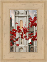 Salt Lake Temple - Veneration by Robert A Boyd