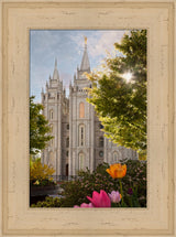 Salt Lake Temple - Springtime in Zion by Robert A Boyd