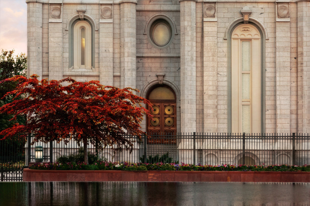 Salt Lake Temple - Fall Tree by Robert A Boyd