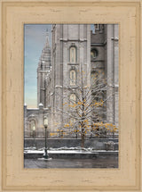 Salt Lake Temple - Tree of Life by Robert A Boyd