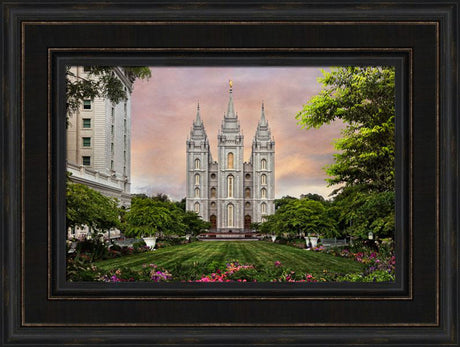 Salt Lake Temple - Holy Places Series by Robert A Boyd