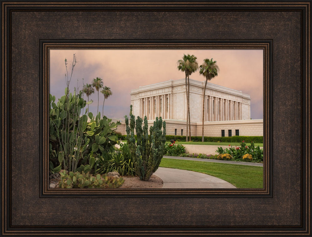 Mesa Temple - Cactus Path by Robert A Boyd