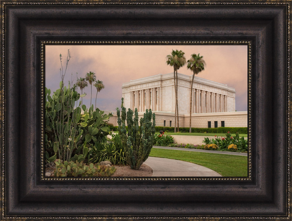 Mesa Temple - Cactus Path by Robert A Boyd