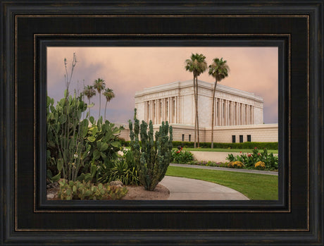 Mesa Temple - Cactus Path by Robert A Boyd