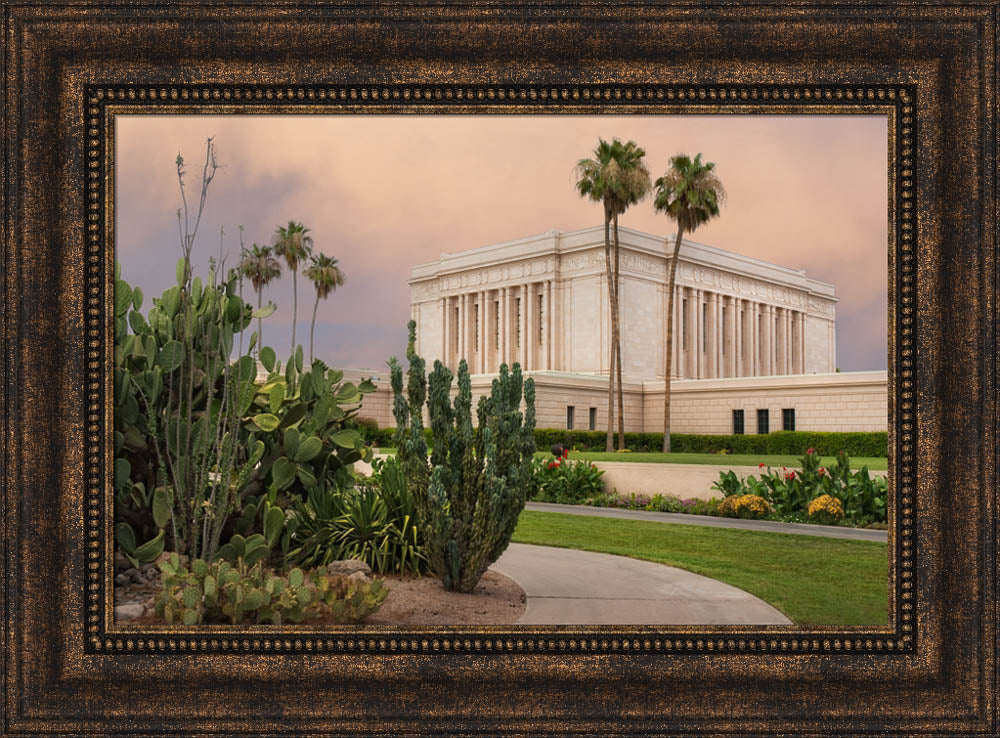 Mesa Temple - Cactus Path by Robert A Boyd