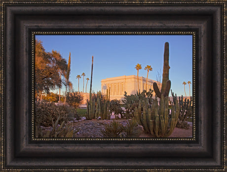 Mesa Temple - Cactus by Robert A Boyd