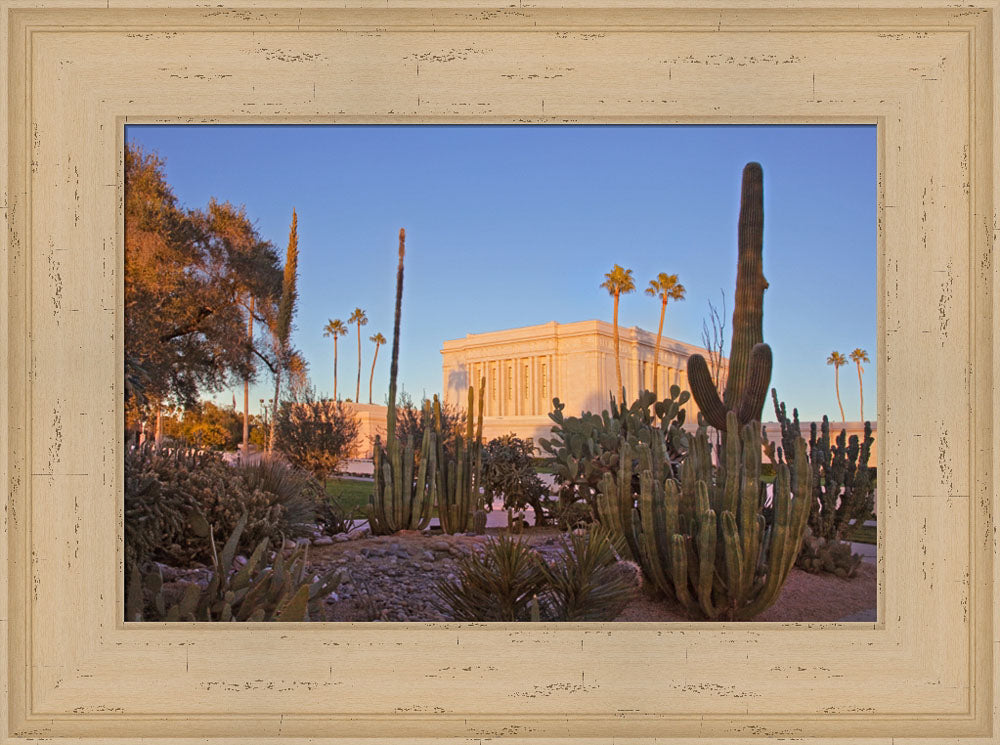 Mesa Temple - Cactus by Robert A Boyd