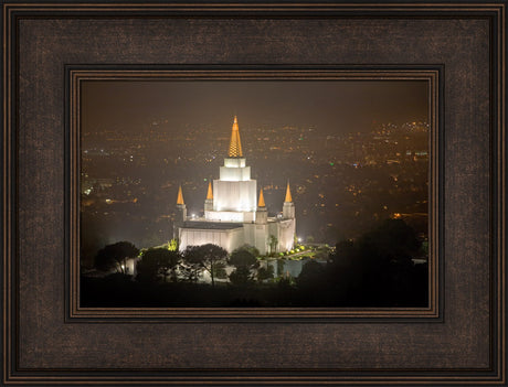 Oakland Temple - Night Vista by Robert A Boyd