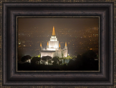 Oakland Temple - Night Vista by Robert A Boyd