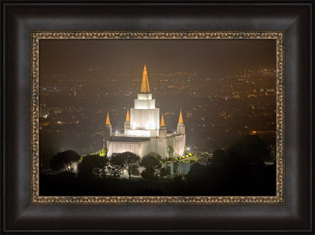 Oakland Temple - Night Vista by Robert A Boyd