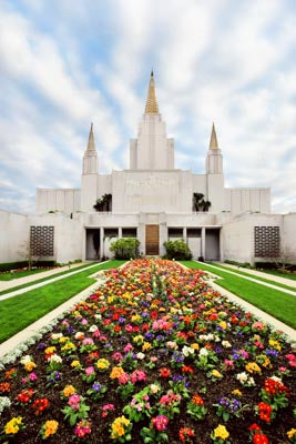 Oakland Temple - Flowers by Robert A Boyd