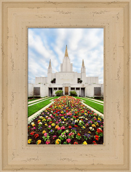 Oakland Temple - Flowers by Robert A Boyd