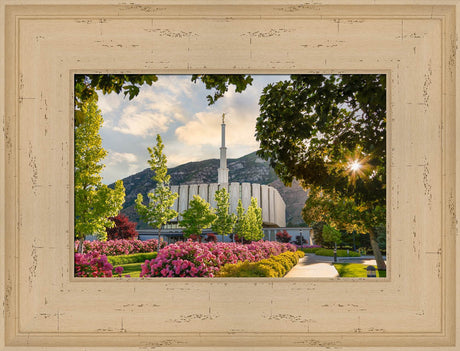 Provo Temple - Pink Roses by Robert A Boyd