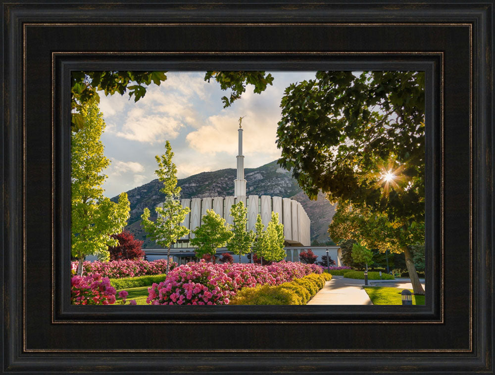 Provo Temple - Pink Roses by Robert A Boyd