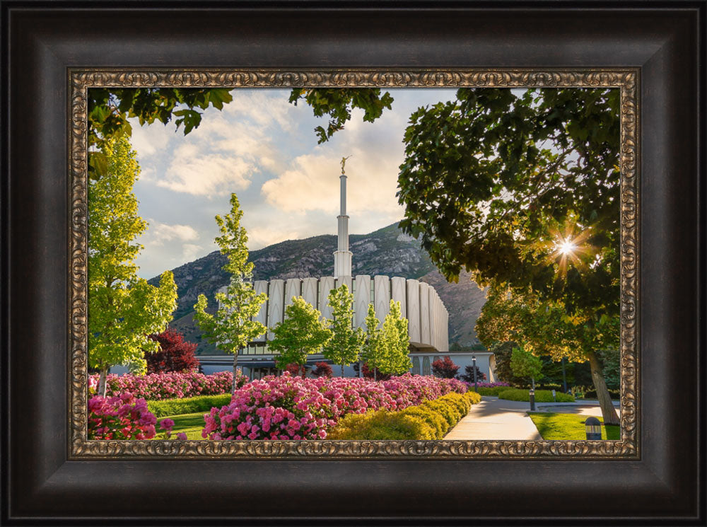 Provo Temple - Pink Roses by Robert A Boyd