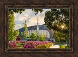 Provo Temple - Pink Roses by Robert A Boyd