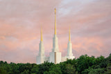 Washington DC Temple - Spires by Robert A Boyd