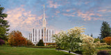 Seattle Temple - Morning by Robert A Boyd