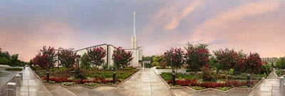 Blossoming Trees Panoramic