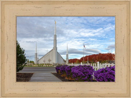 Boise Temple - Purple Flowers by Robert A Boyd