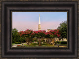 Dallas Temple - Flowering Trees by Robert A Boyd