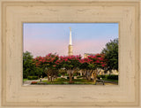 Dallas Temple - Flowering Trees by Robert A Boyd