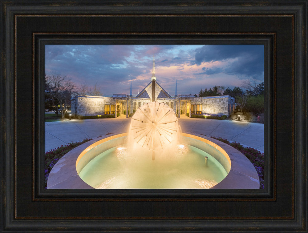 Chicago Temple - Fountains by Robert A Boyd