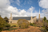 Johannesberg Temple - Trees by Robert A Boyd