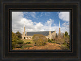 Johannesberg Temple - Trees by Robert A Boyd