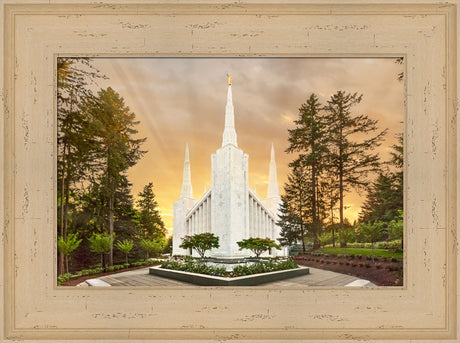 Portland Temple - Evening Glow by Robert A Boyd