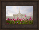 Bountiful Temple - Tulips by Robert A Boyd