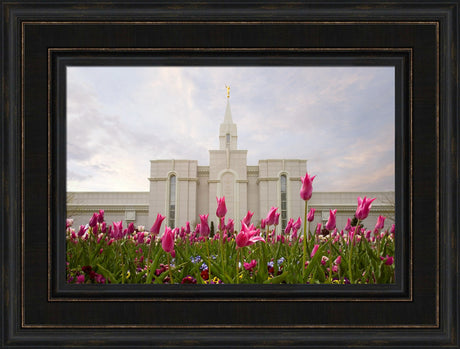 Bountiful Temple - Tulips by Robert A Boyd