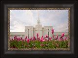 Bountiful Temple - Tulips by Robert A Boyd