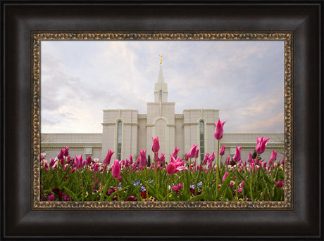 Bountiful Temple - Tulips by Robert A Boyd