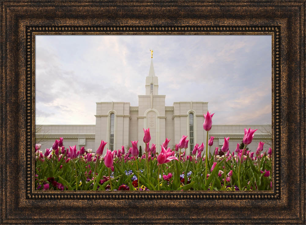 Bountiful Temple - Tulips by Robert A Boyd