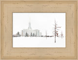 Mt Timpanogos Temple - Snow Red Leaves by Robert A Boyd